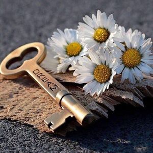 Meet your Posher, Carolyn